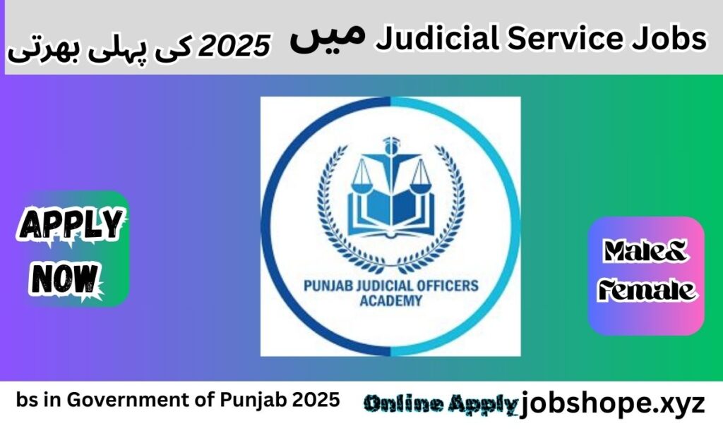 Benefits of Punjab Government Judicial Jobs