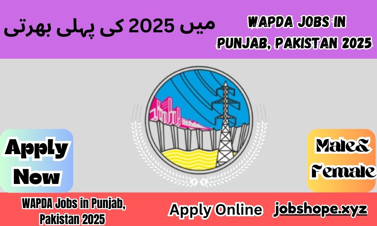 WAPDA Jobs in Punjab, Pakistan 2025