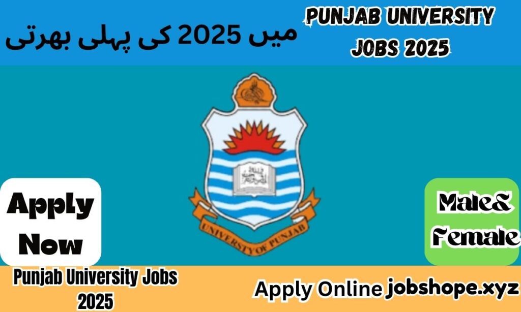 Punjab University Jobs 2025