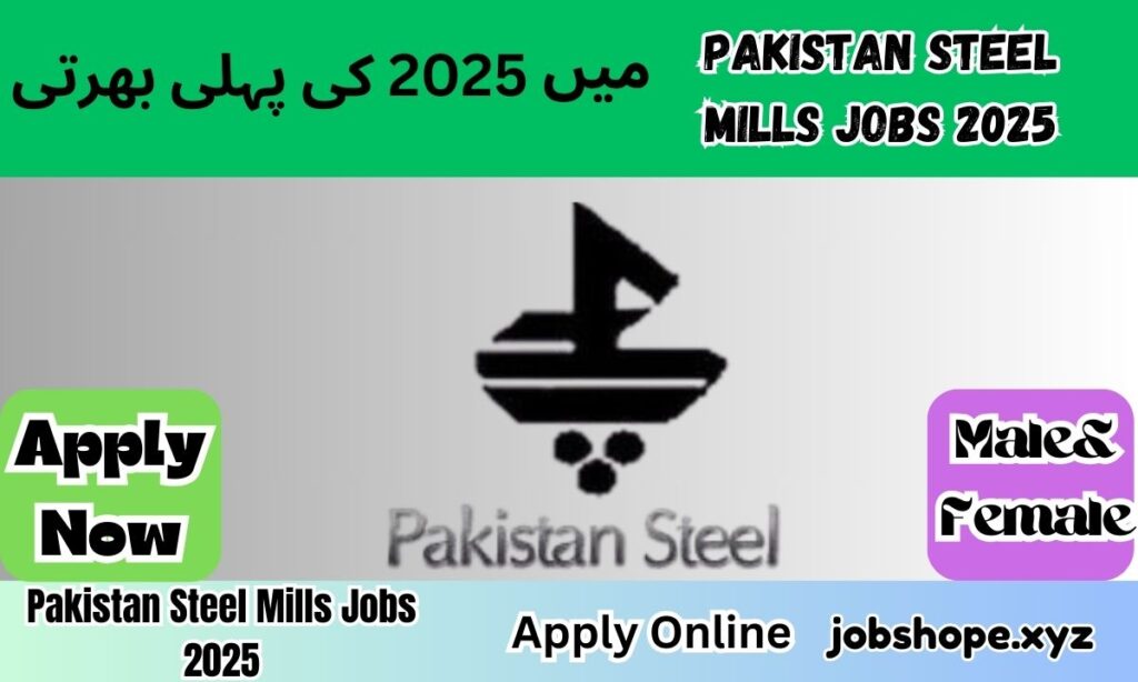 Pakistan Steel Mills Jobs 2025