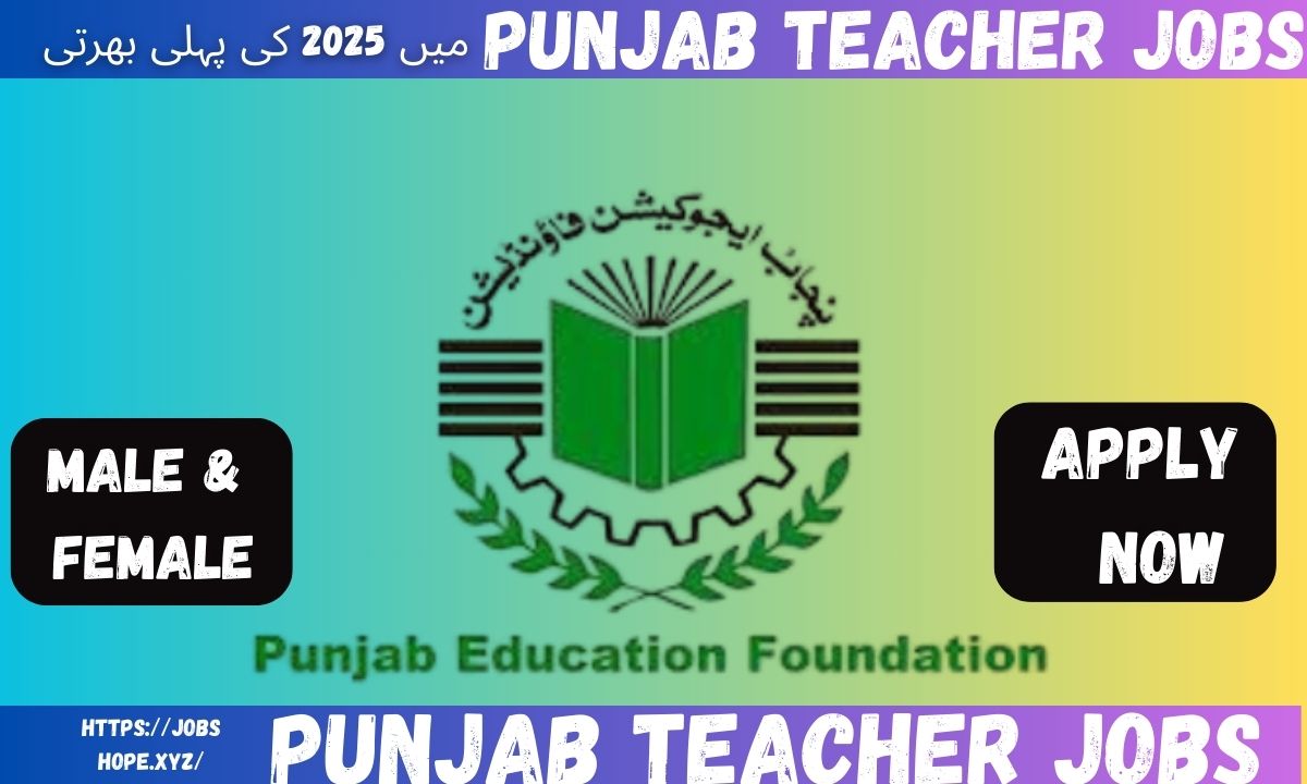 "Punjab Teacher Jobs 2025 – Apply Online for 12,500+ STI Vacancies in Government Schools"