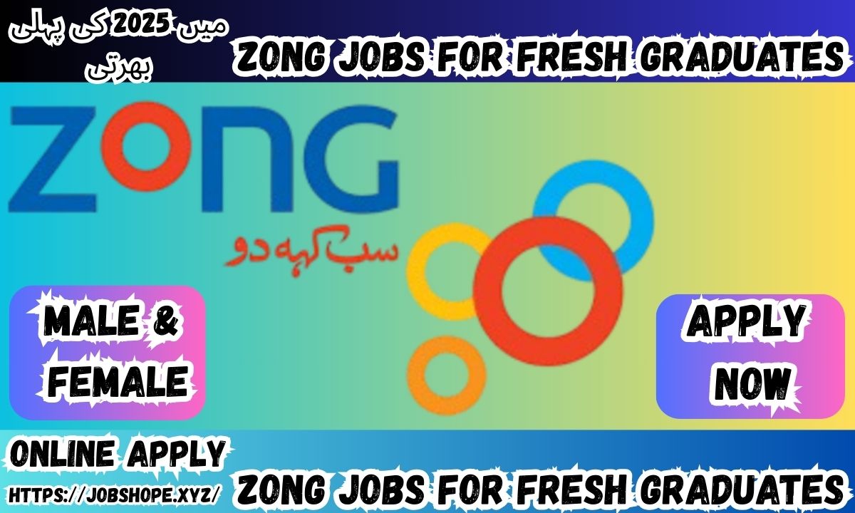Zong Jobs for Fresh Graduates