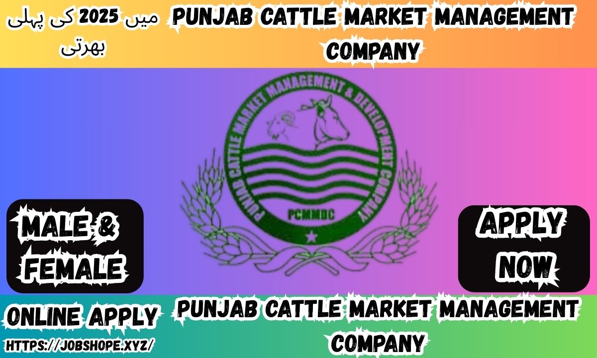 Punjab Cattle Market Management Company Jobs 2025 – Apply Online for Latest Govt Vacancies in Pakistan